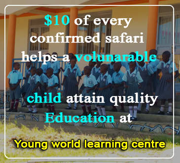 Young world learning centre